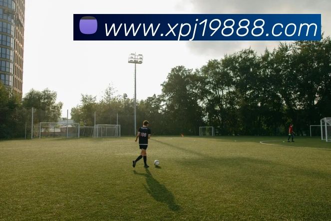 登录器
